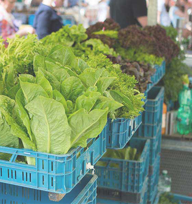 嚴(yán)格供應(yīng)商準(zhǔn)入機(jī)制